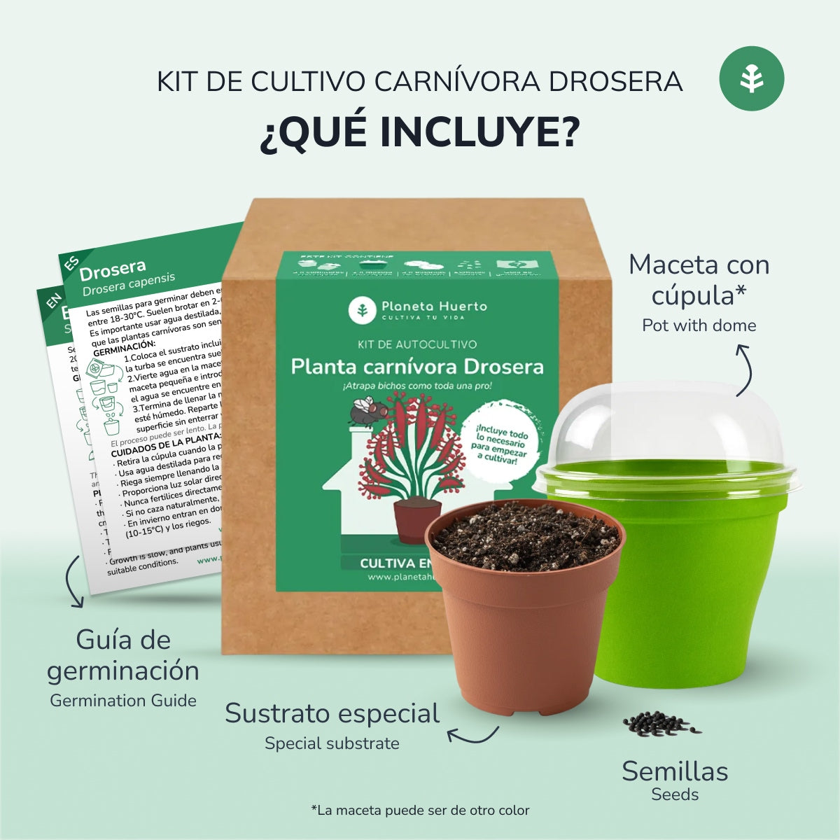 Kit de autocultivo Planta carnívora Drosera Planeta Huerto
