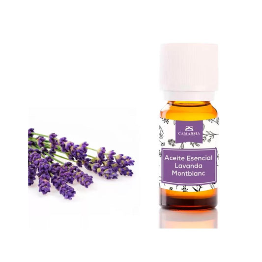 Aceite esencial de lavanda, Camassia 30 ml