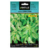 Semillas de  Albahaca Lemon Citron