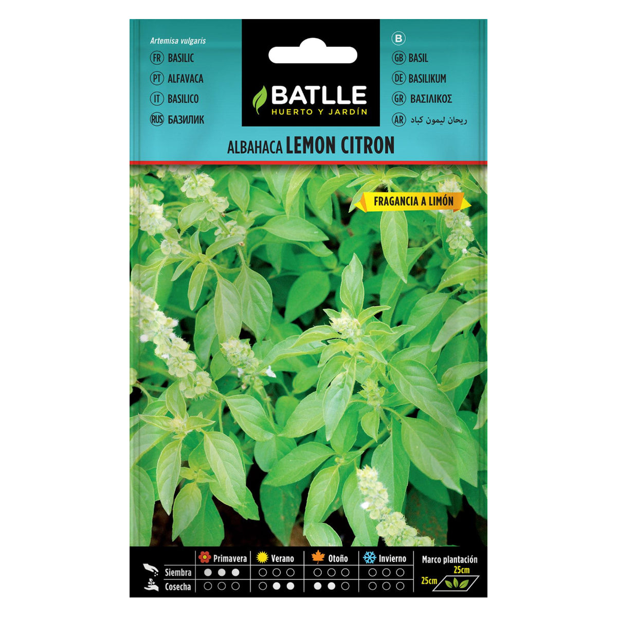 Semillas de  Albahaca Lemon Citron