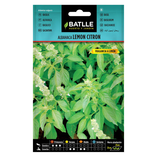 Semillas de  Albahaca Lemon Citron