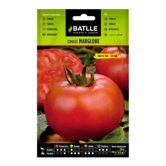 Semillas de  Tomate Marglobe