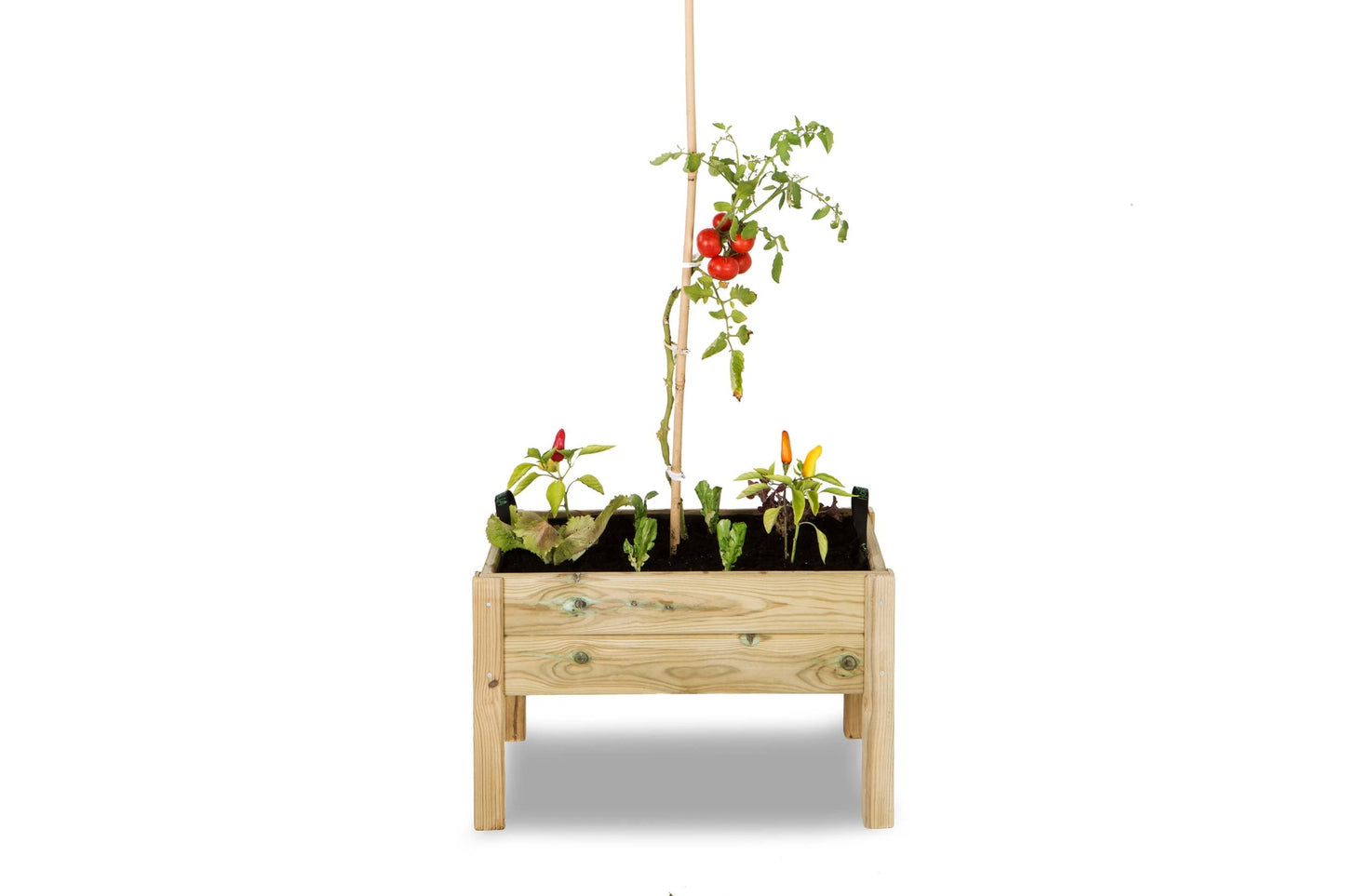 Kit de mesa de cultivo infantil Leo Hortalia