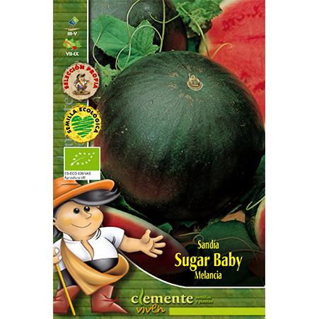 Semillas ecológicas de Sandía Sugar Baby