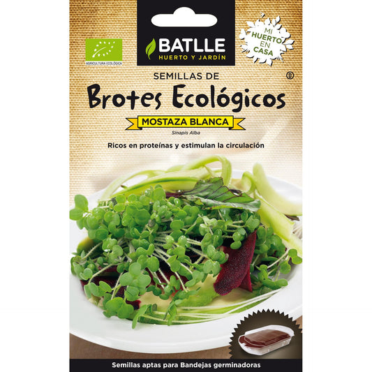 Semillas brotes eco Mostaza Blanca Batlle