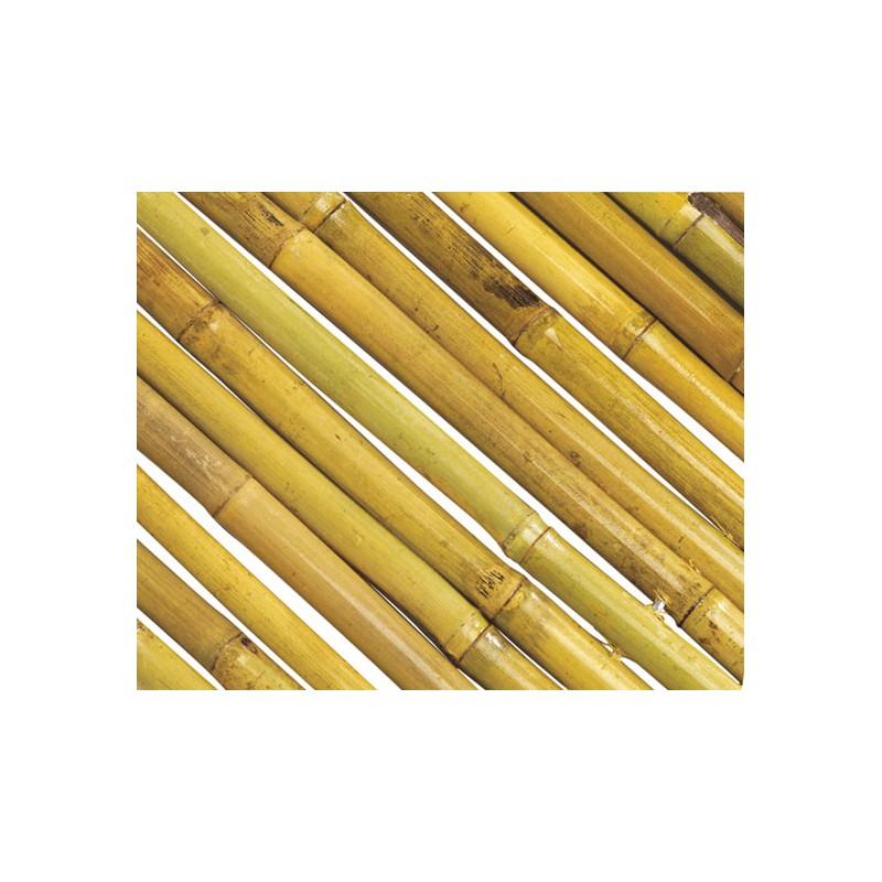 Cañizo Bambu natural Barnizado Bambooflex Nortene 1x3 m (Reacondicionado)