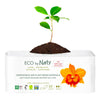 Salvaslip normal Naty 32 Uds