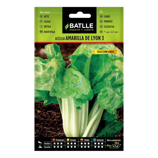Semillas de  Acelga amarilla de Lyon sel. Linda 25g