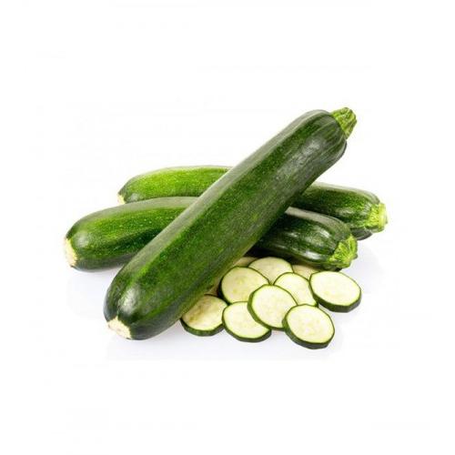 Plantón de Calabacín 6 uds. Gama Tracional