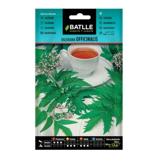 Semillas de Valeriana Batlle