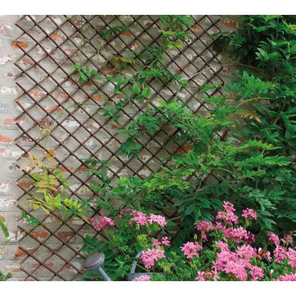 Celosía de mimbre extensible Trelliwillow Nortene 1x2 m