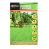 Semillas césped ornamental y resistente Batlle 500 g