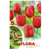 Bulbos Tulipán Darwin rojo Flora Fantastica 5 uds