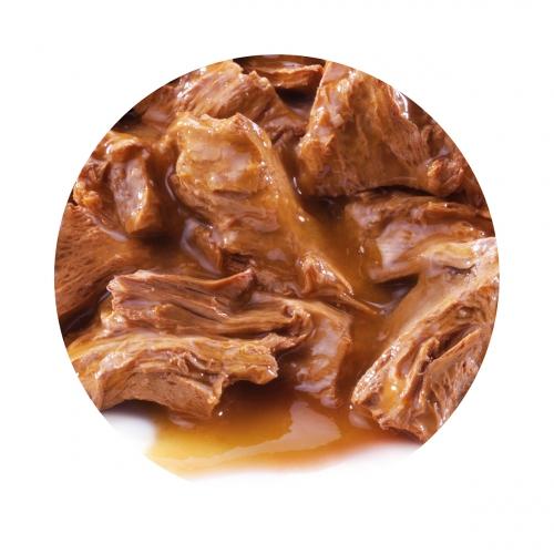 Pack 10 PRO PLAN Gato Delicate Pescado del Océano 85g