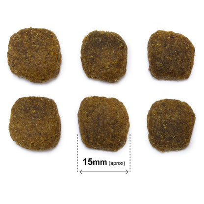 Pienso para perros  Original Salmón y arroz Arquivet 12 Kg