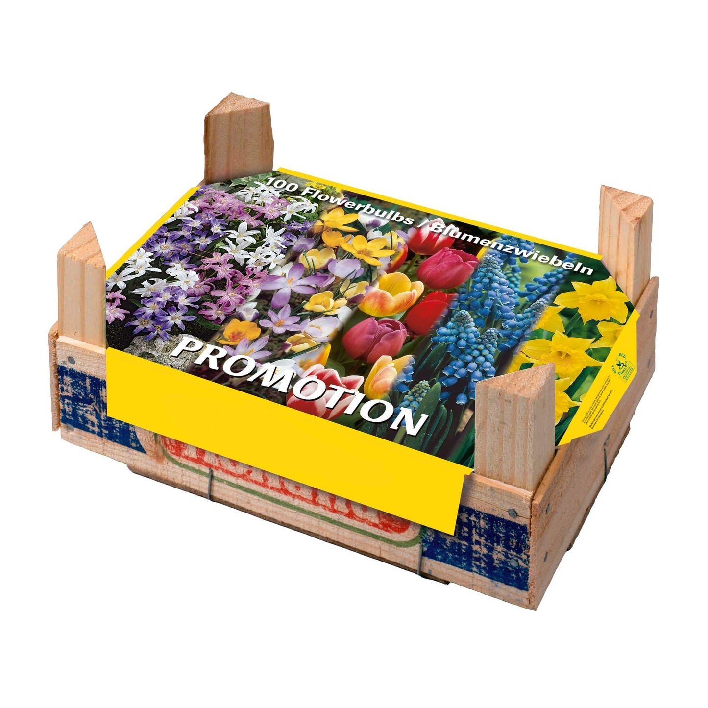Caja Tray Mix Bulbos Otoño Elite 100 uds