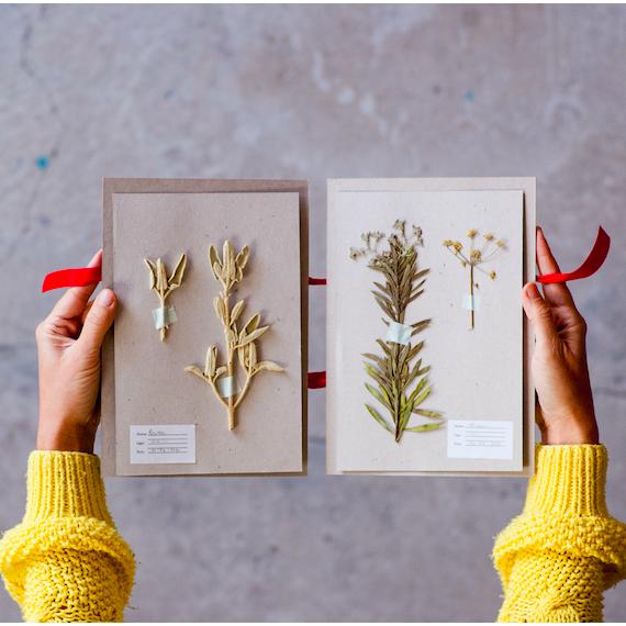 Kit  Flower Press