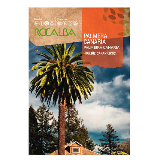 Semillas de palmera Canaria, Rocalba