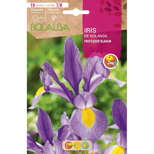 Bulbo Iris de Holanda Professor Blaauw azul 10 uds Rocalba