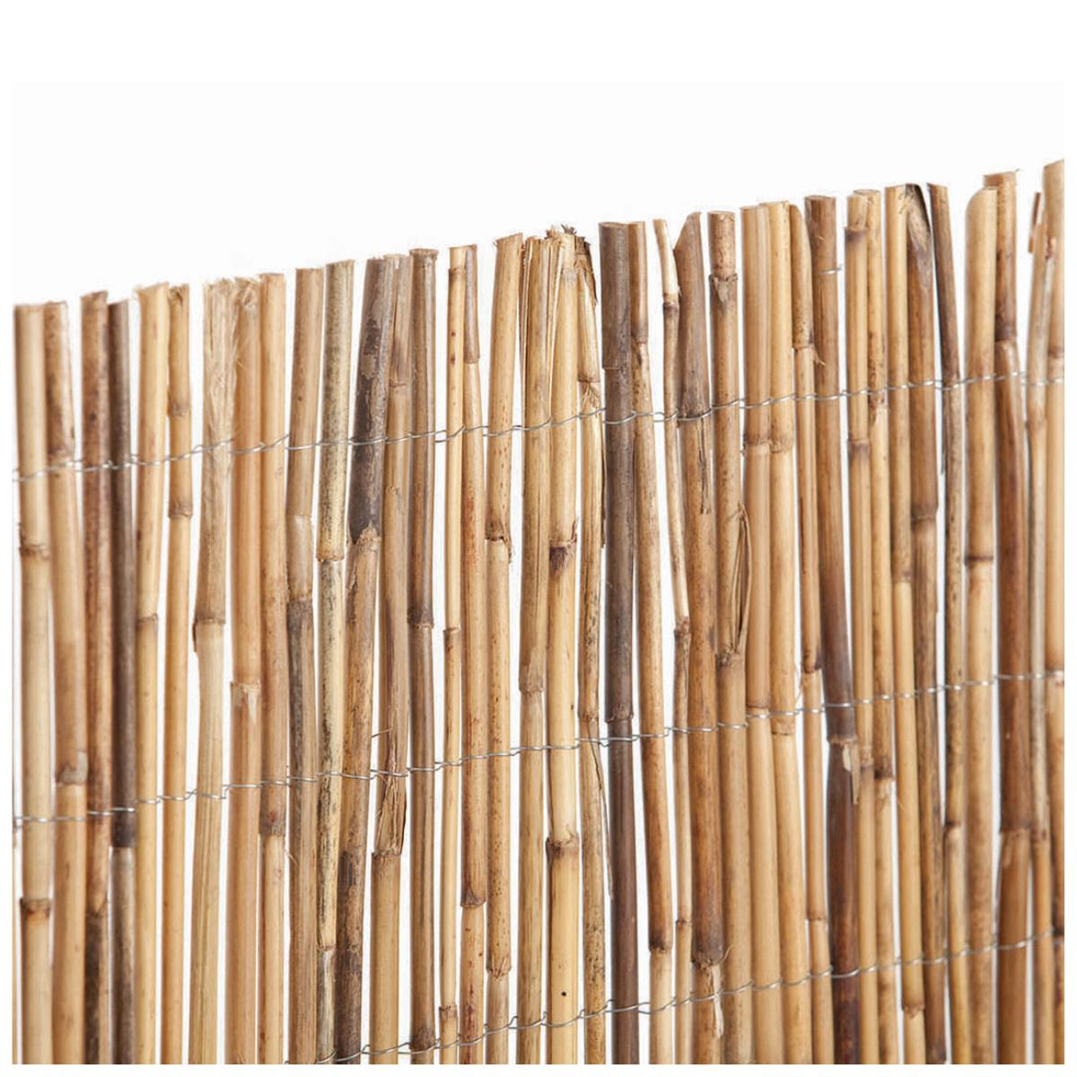 Cañizo Bambú Entero 1.5x5 m