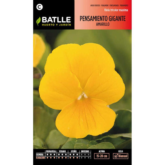Semillas de  Pensamiento gigante amarillo