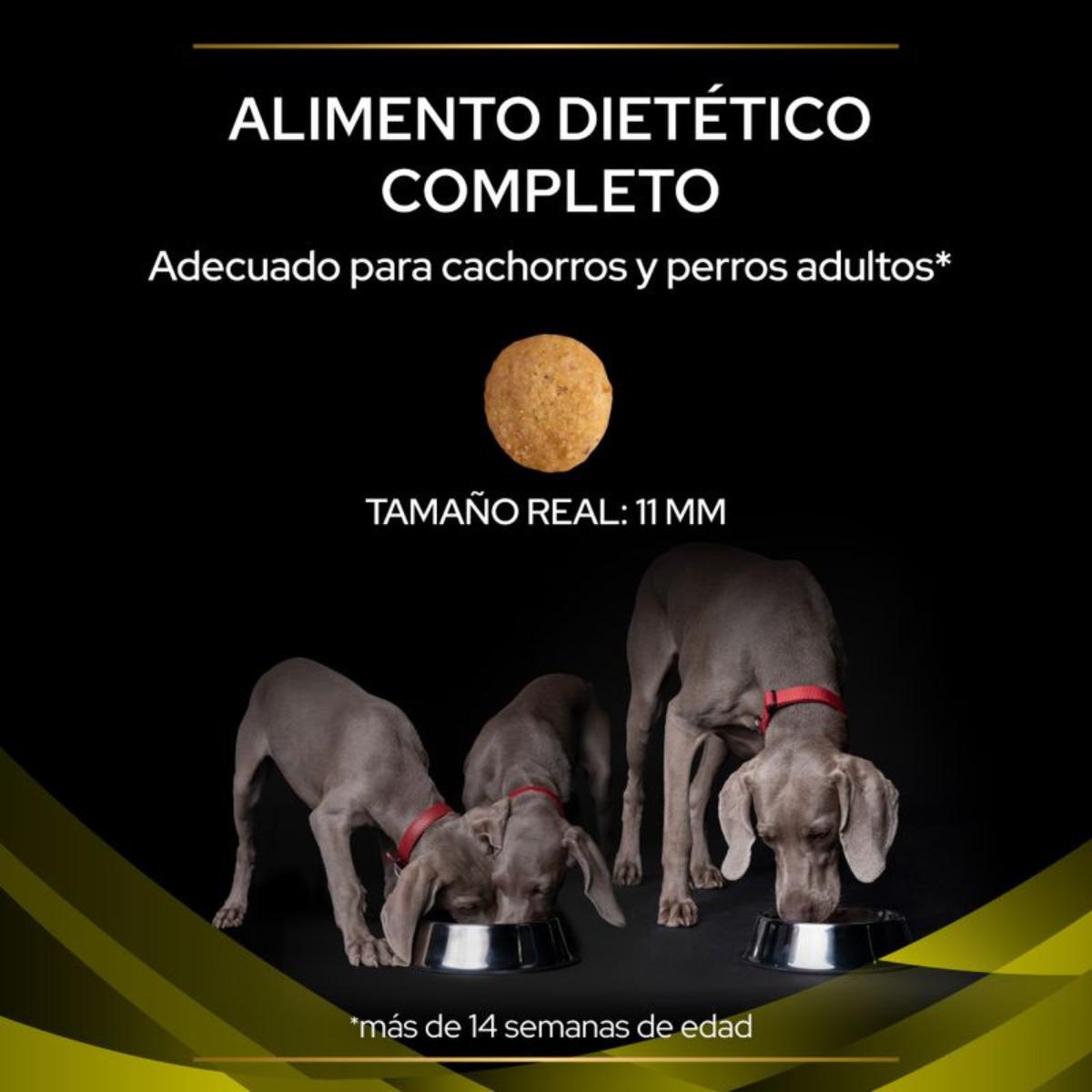 Purina Pro plan veterinary diets canine HP Hepatic 12 kg