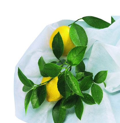 Funda de hibernación antiheladas Hiversac Deco Nortene 3 ud