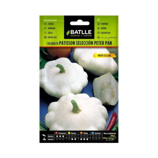 Semillas de Calabaza Pâtisson blanca Peter Pan Battle