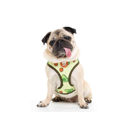 Arnés reversible para perro AVOCADO Dukier