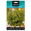Semillas de Menta Piperita