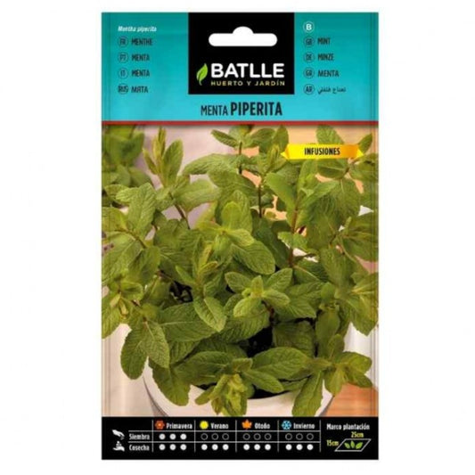 Semillas de Menta Piperita