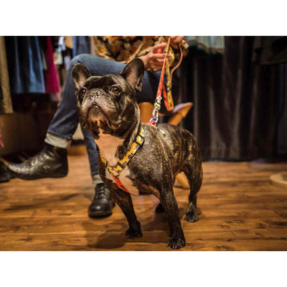 Arnés clásico para perro SUPERDOG Dukier