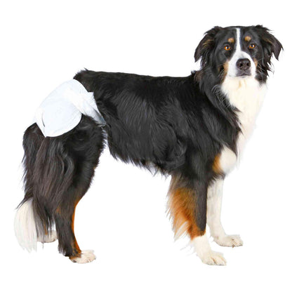 Trixie 12 Pañales perros hembra ultraabsorbentes M-L