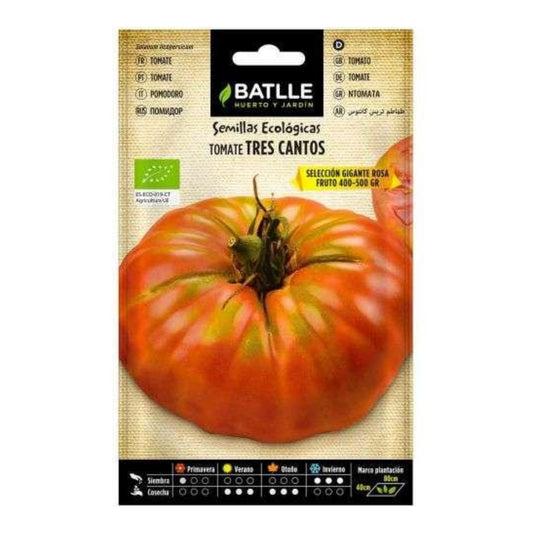 Semillas ecológicas de Tomate tres Cantos gigante rosa Batlle