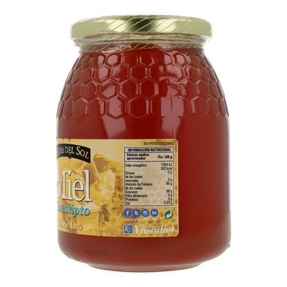 Miel Eucalipto 1 Kg Ynsadiet