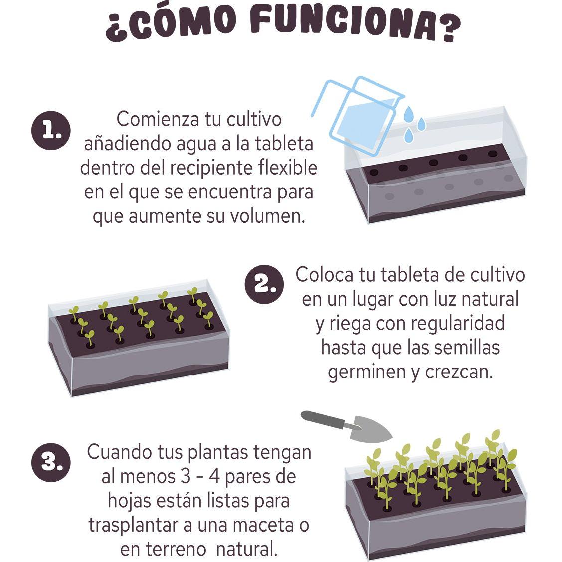 Tableta de cultivo Pop Corn