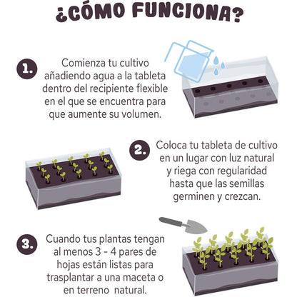 Tableta de cultivo Pop Corn