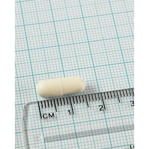 Acidophilus Extra 10. Lamberts