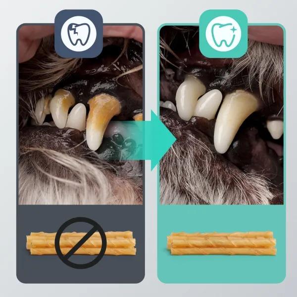 Twister sticks de cuero de ternera - Snack Natural Nobleza 20 ud