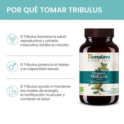 Triphala Organic, Himalaya, 60 cápsulas