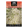 Semillas de Gipsofila vivaz Paniculata simple blanca