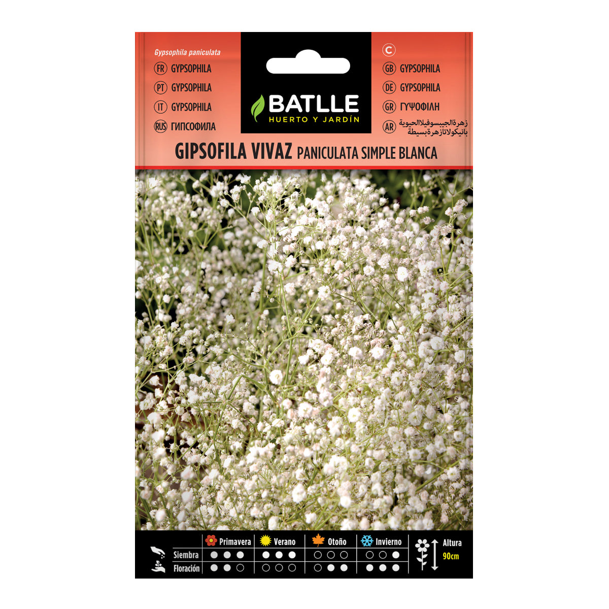 Semillas de Gipsofila vivaz Paniculata simple blanca