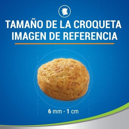 Dentalife Pollo Snack dental para gatos 40 g