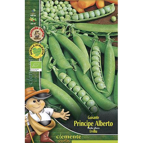 Semillas ecológicas de Guisante Principe Alberto