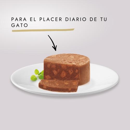 Pack 24 x GOURMET GOLD Tarrina Comp Salmon Comida húmeda 85g