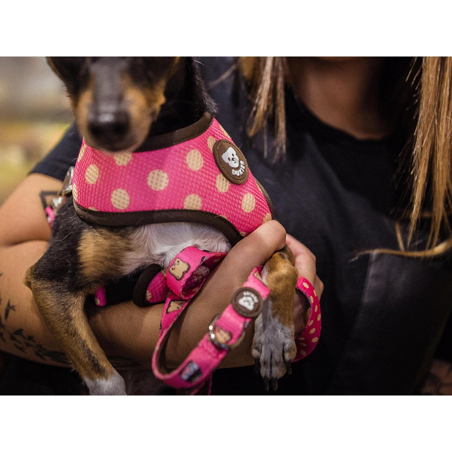 Arnés reversible para perro DOGTELLA Dukier