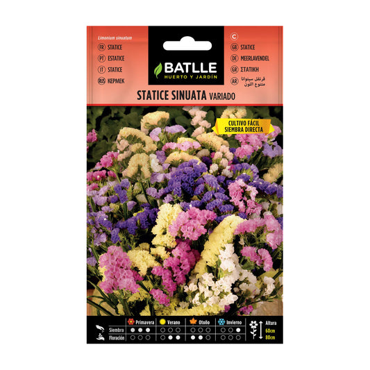 Semillas de Statice Sinuata Variado