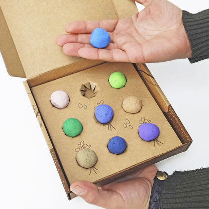 Bombas de semillas Plantas Aromáticas