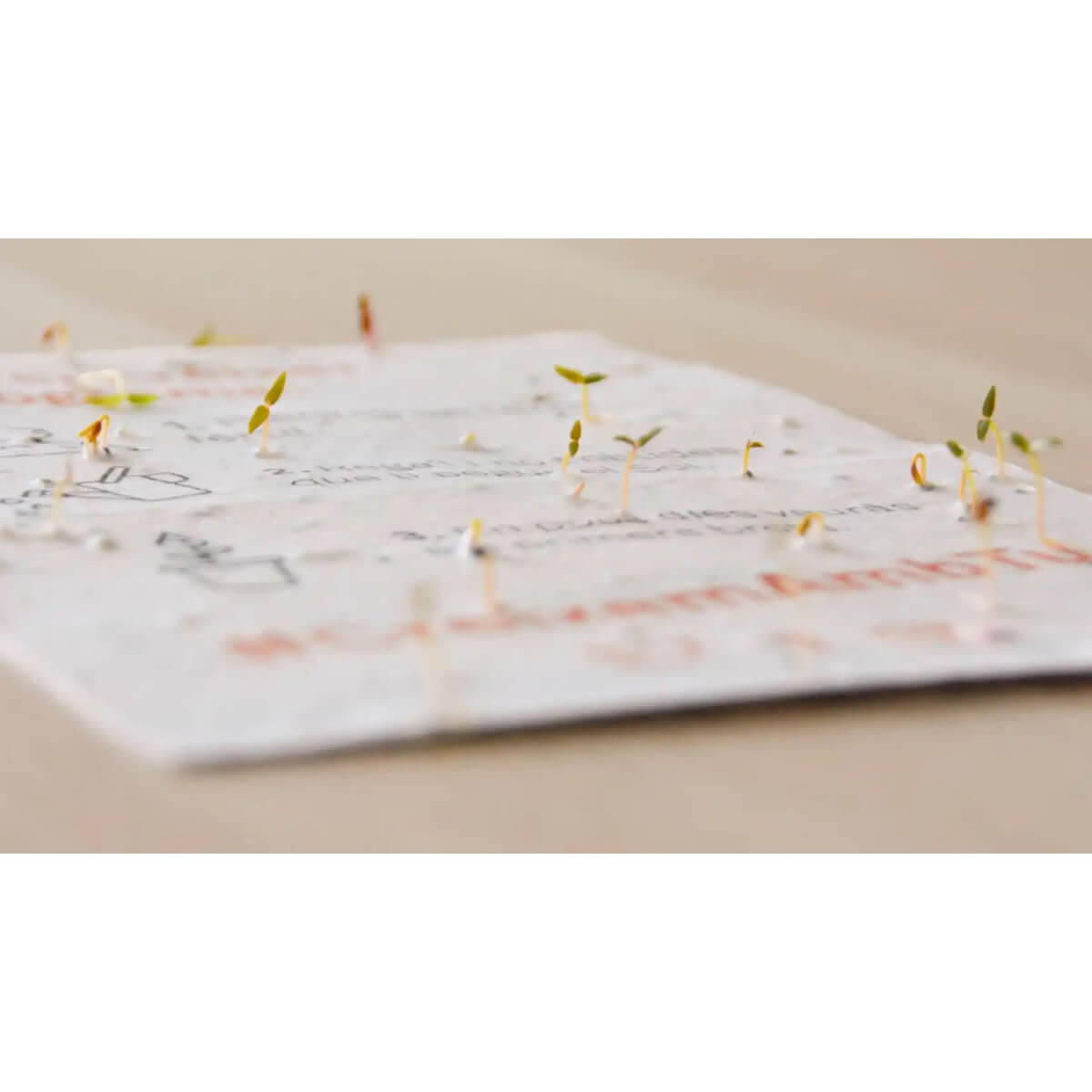 Calendario plantable 2026 Planeta Huerto Transforma el tiempo en naturaleza