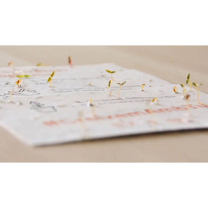 Calendario plantable 2026 Planeta Huerto Transforma el tiempo en naturaleza